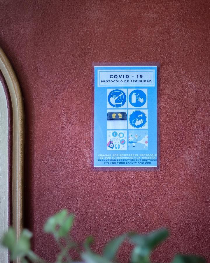 Casa Del Sotano Hotel Oaxaca Eksteriør billede