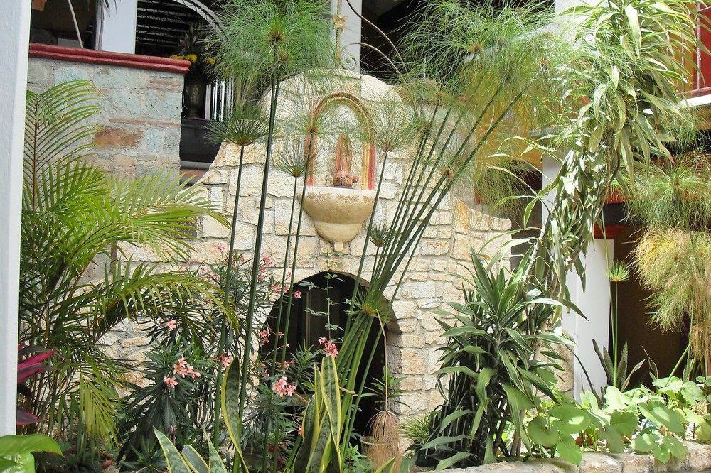Casa Del Sotano Hotel Oaxaca Eksteriør billede